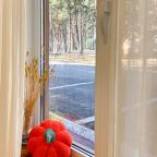 Трёхместный и более (Студия «Деревня» 2 взрослых + 2 детей), Апартаменты Лисичкин house