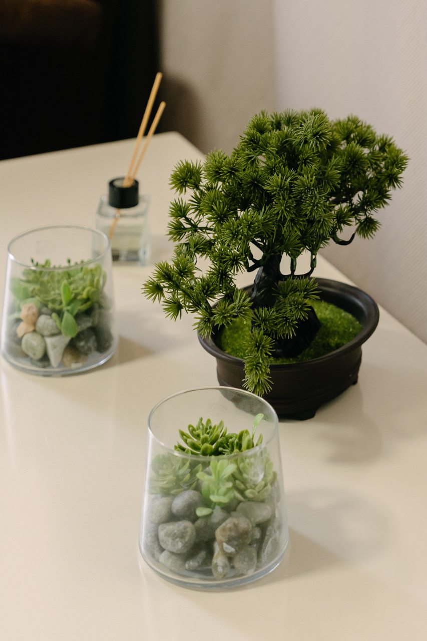 Апартаменты (Апартаменты с кухней), База отдыха Радужный Архыз