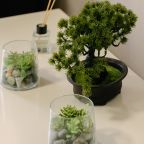 Апартаменты (Апартаменты с кухней), База отдыха Радужный Архыз