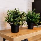 Коттедж (Четырехкомнатный), Дом отдыха Shantivillas