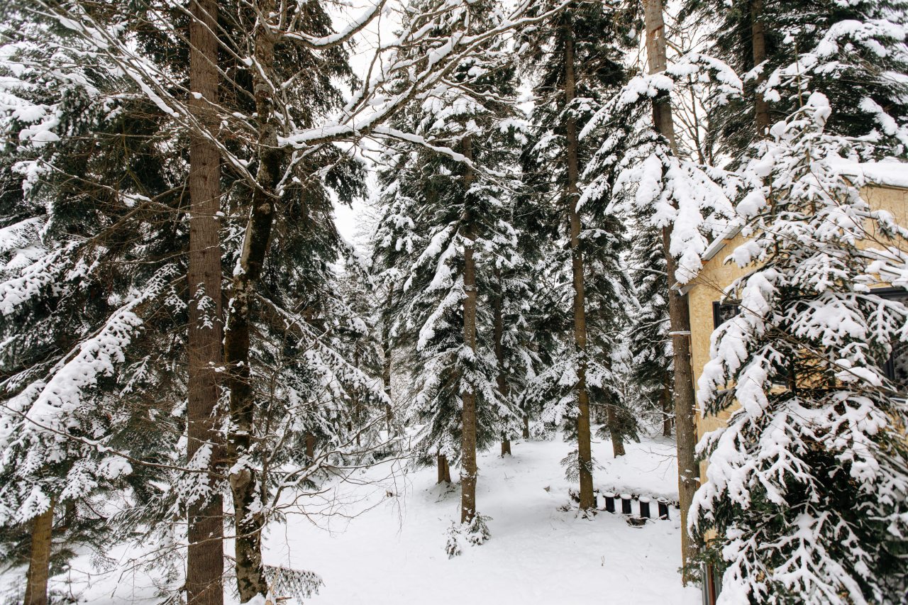 Коттедж (Четырехкомнатный), Дом отдыха Shantivillas