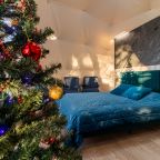 Дом (Купол Петроглифы), База отдыха ALDI-Karelia