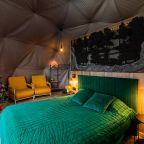 Дом (Купол Карельский лес), База отдыха ALDI-Karelia