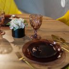 Дом (Купол Карельский лес), База отдыха ALDI-Karelia