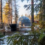 Дом (Купол Карельский лес), База отдыха ALDI-Karelia