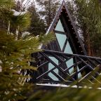 Дом (А-Фрейм Черное-белое), База отдыха ALDI-Karelia