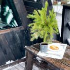 Дом (А-Фрейм Черное-белое), База отдыха ALDI-Karelia