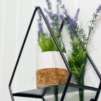 Номер (Сосновый бор), База отдыха ALDI-Karelia