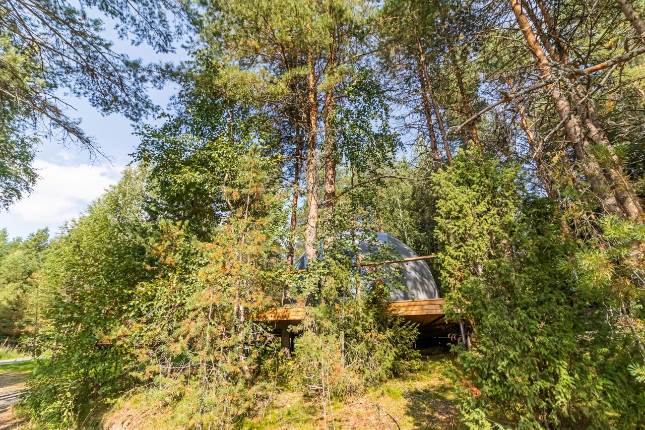 Дом (Купол Карельский лес), База отдыха АЛДИ-Карелия