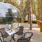 Дом (Купол Карельский лес), База отдыха АЛДИ-Карелия