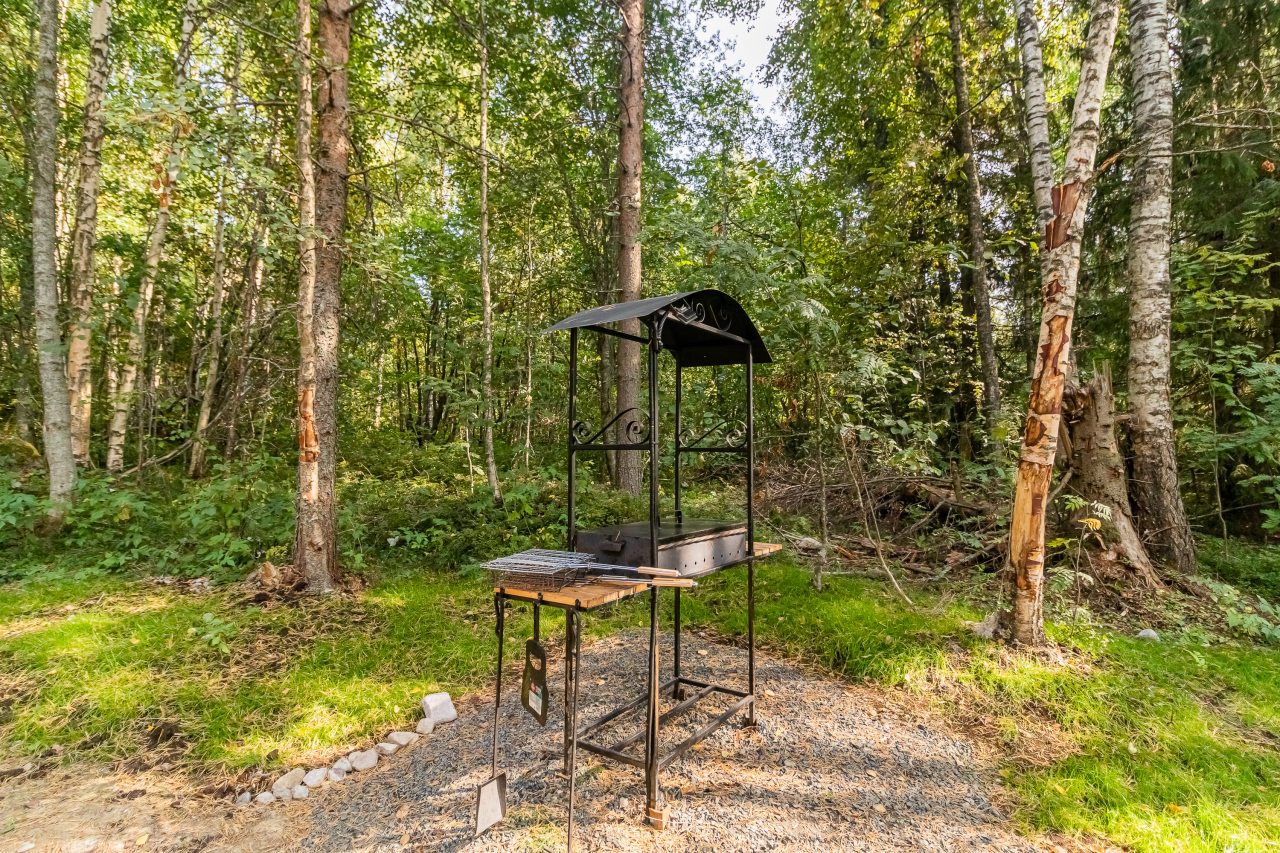 Дом (Купол Карельский лес), База отдыха АЛДИ-Карелия