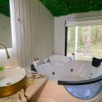 Номер (С джакузи Могучая ель), База отдыха АЛДИ-Карелия