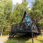 Дом (А-Фрейм Черное-белое), База отдыха АЛДИ-Карелия