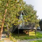 Дом (А-Фрейм Черное-белое), База отдыха АЛДИ-Карелия