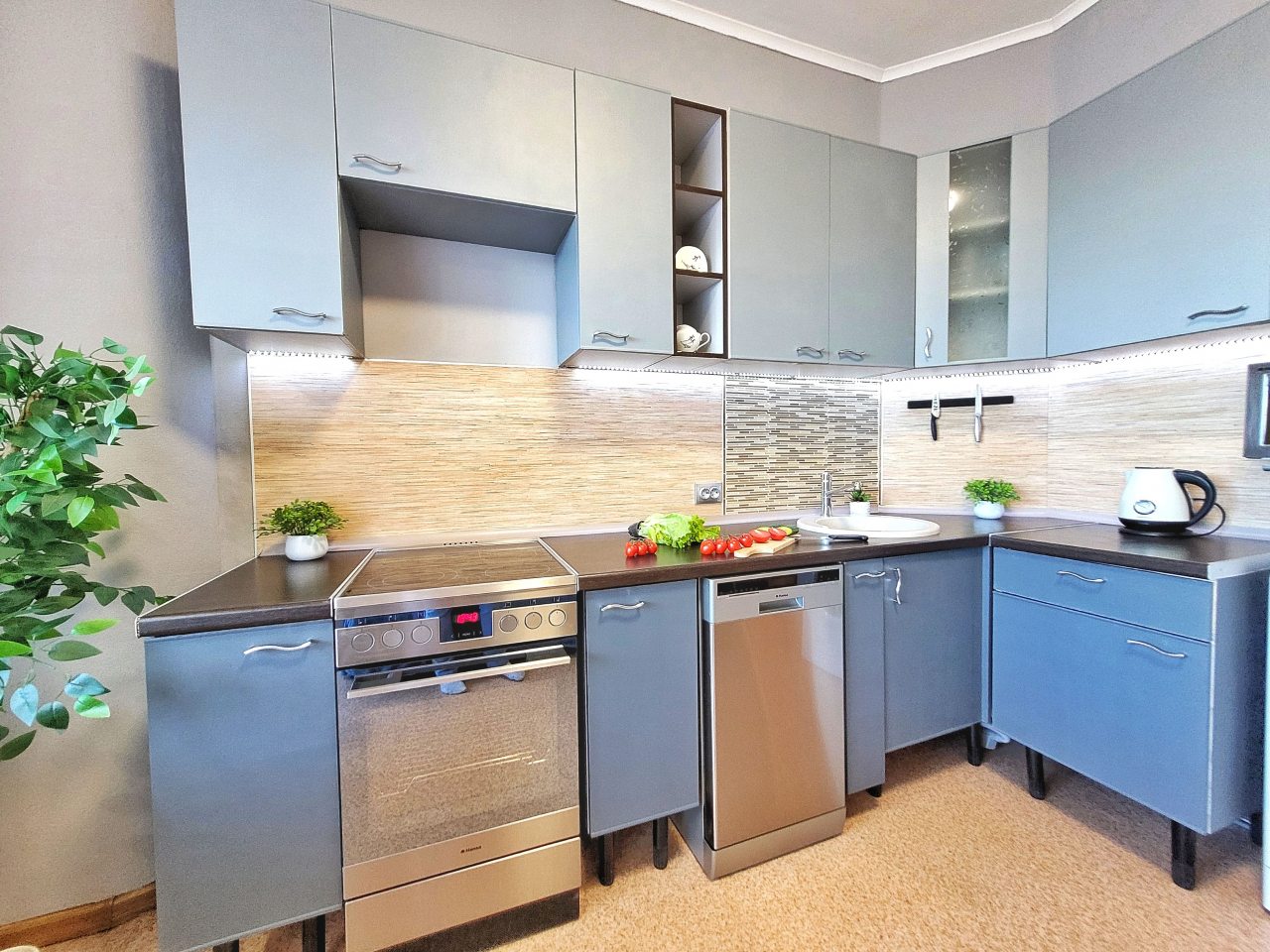 Электроплита с духовкой, посудомоечная машина.