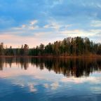 Трёхместный и более (Стандарт Д), Загородный отель Киногородок