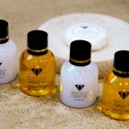 Люкс (Представительский Люкс), Отель Кристалл