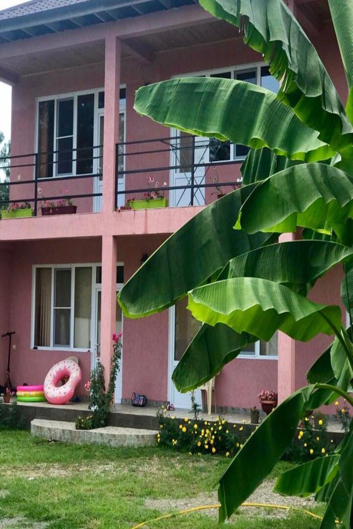 Гостевой дом Фламинго, Лдзаа