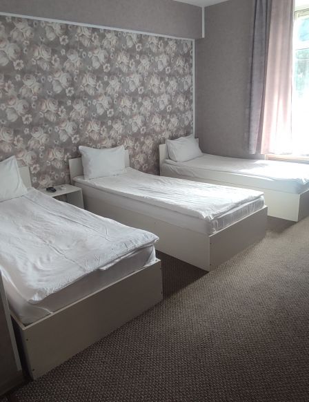 Фотография номера гостиницы Камея