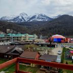 Семейный (Спальня+ кухня Стандарт), Апартаменты Golden Holiday