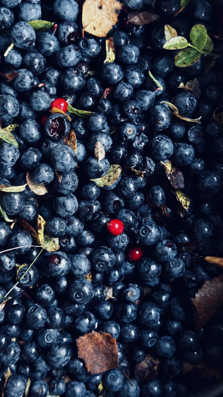 в округе очень много ягод и грибов