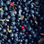 в округе очень много ягод и грибов