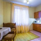 Квартира (Однокомнатная квартира около НИИ Джанелидзе (3 эт)), Апартаменты Около НИИ Джанелидзе