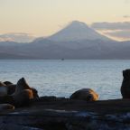 Вид на Вулканы Камчатки, Гостевой дом Amazing Kamchatka