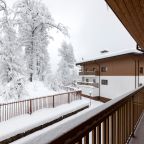 Двухместный (Улучшенный стандарт с балконом), Отель Ski Village