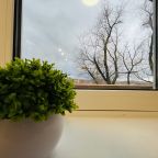 Апартаменты (Студия 87), Апартаменты Счастливые метры в квартале Свистуха 1к1