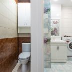 Раздельный санузел