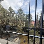 Двухместный (Апартаменты с видом на парк и детскую площадку 4-1), Апартаменты В отеле на Ленина 217а