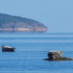 Рыбалка в Карелии на море и озерах - зимняя и летняя, База отдыха Лопский берег