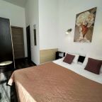 Двухместный (Номер с 1 двуспальной кроватью №4,5), Гостевой дом Boho Nevsky 132 Hotel