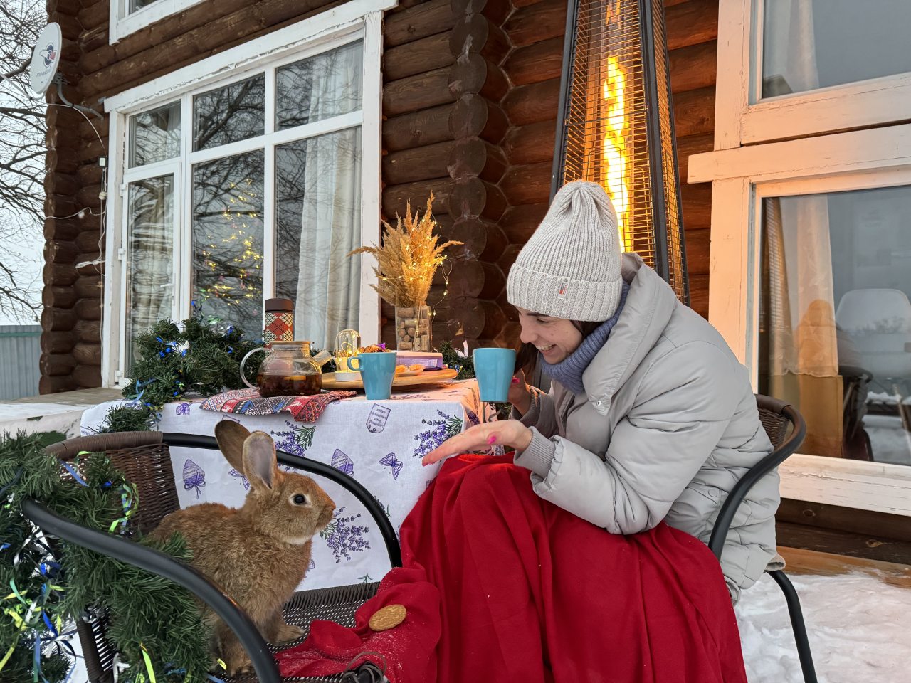 Коттедж (Дом с видом на жигулевские горы), Гостиница Дом в лесу