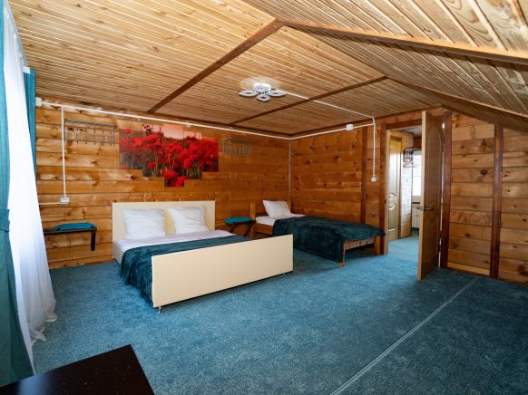 Фотография номера гостевого дома Ёлки