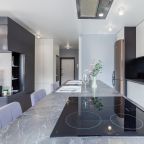 Люкс (Апартаменты RentPlaza бизнес класса на высоком этаже Московское Шоссе 29), Апартаменты RentPlaza Московское шоссе 25