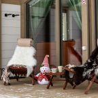 Шале (Chalet DE SKI), Гостевой дом Chalet DE SKI