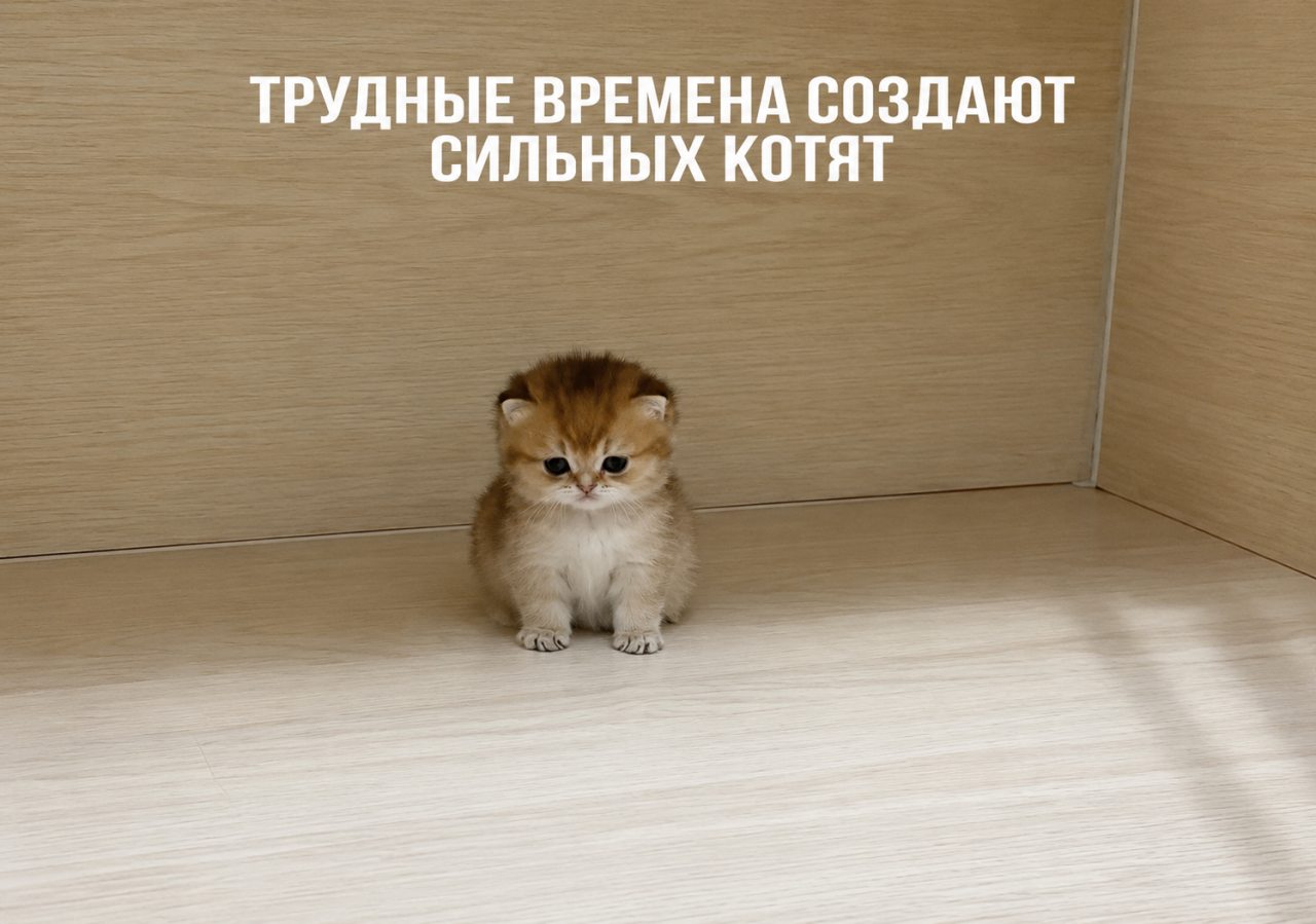 Тесь, Отель (Тестовый отель) Tai Lung is truly Dragon Warrior  - — _ № & @ ! : * ? + # , 
