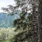 Дом (Шале с видом на горы), База отдыха Белый волк