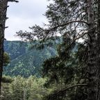 Шале (Дом с видом на горы), База отдыха Белый волк