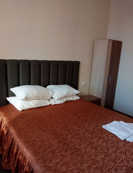 Фотография номера гостиницы Центральная Вертикаль