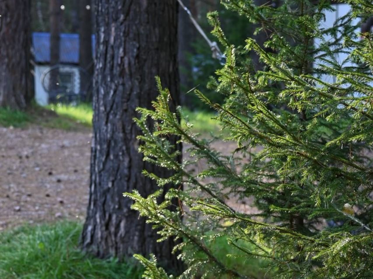 Шестиместный (Дом с верандой), База отдыха Дух Тайги