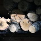 Русская баня в сосновом бору, База отдыха Дух Тайги