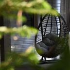 Качели, База отдыха Дух Тайги