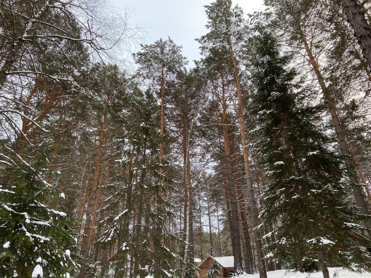 Место отдыха в Вековых соснах, База отдыха Дух Тайги