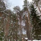 Место отдыха в Вековых соснах, База отдыха Дух Тайги