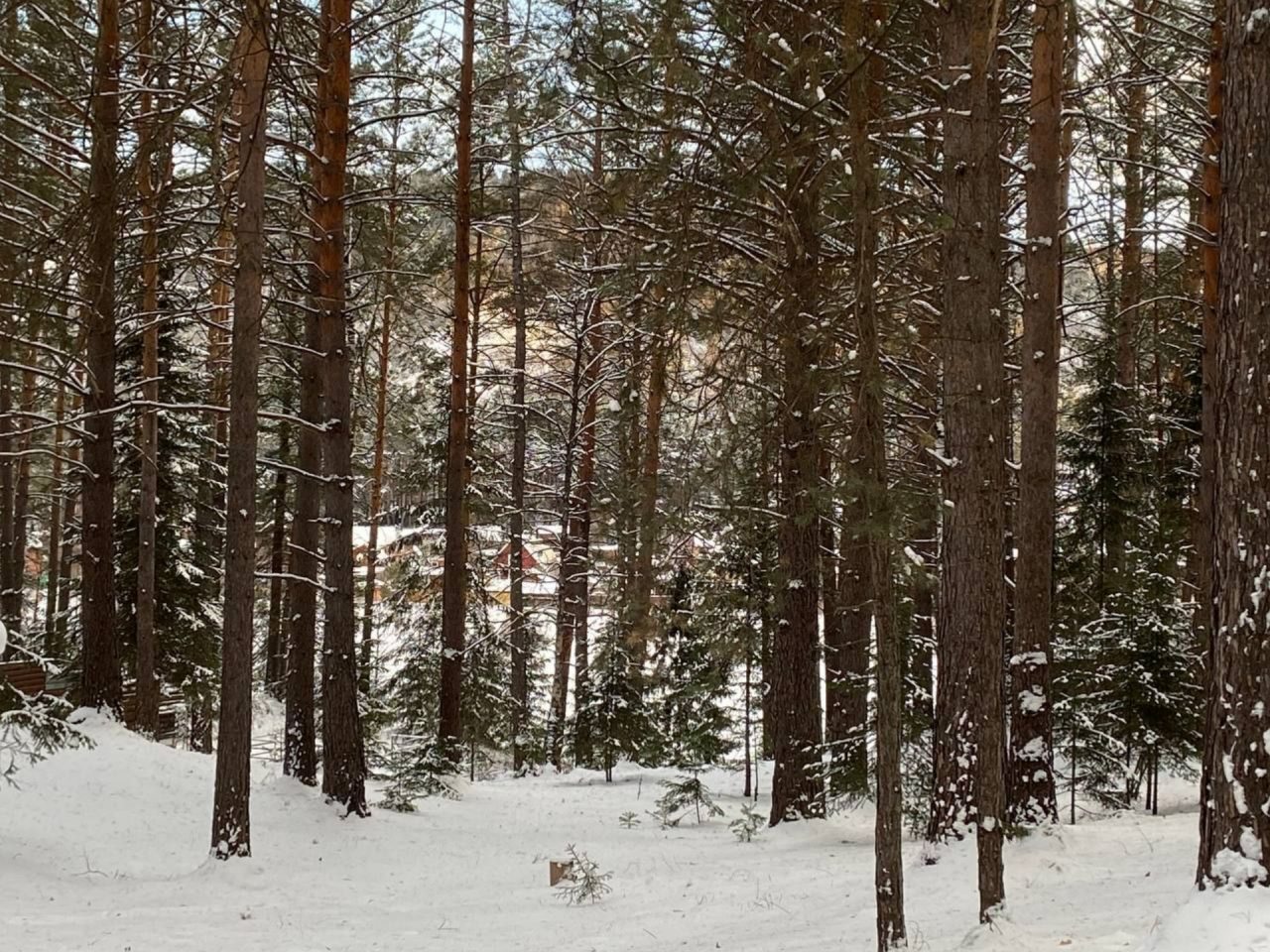 Отдых в комфортных домах в Соснах