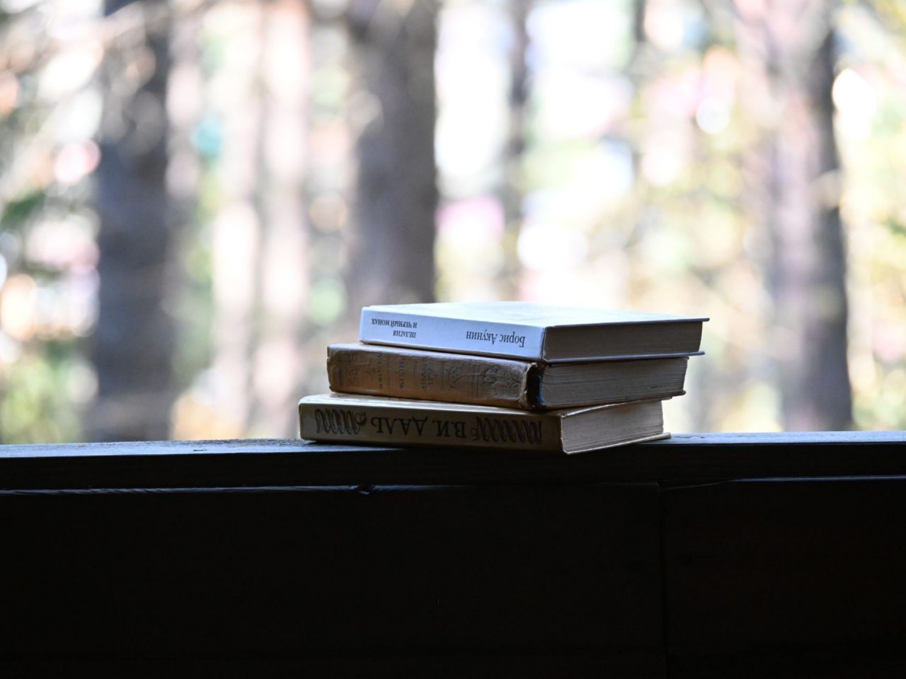 Беседка-Библиотека, База отдыха Дух Тайги