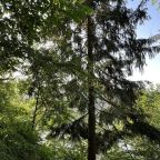 Шестиместный (Дом с верандой), База отдыха Дух Тайги